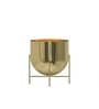 Gold Aluminium Tess Pot