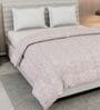 Gold and Purple 100% COTTON Solid 150 GSM King Bed Comforter