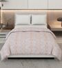 Gold and Purple 100% COTTON Solid 150 GSM King Bed Comforter