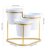 (1Pc) Gold Metal Plant Stand