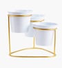 (1Pc) Gold Metal Plant Stand