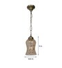 Kasy Gold Brass Hanging Light