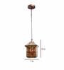Mabel Gold Brass Hanging Light