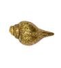 Gold Brass Shankh with carving 
