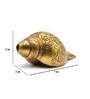 Gold Brass Shankh with carving 