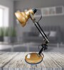 Midwest Gold Adjustable Study Lamp With Aluminium Base