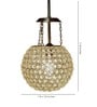 Malvika Gold Crystal Hanging Light