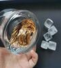 Gold Eagle Label 300Ml Borosilicate Glass (Set Of 6 ) Whiskey Glasses