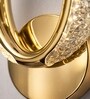 Gold Finish Novelty Wall Light Oval Design Set of 1