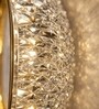 Gold Finish Novelty Wall Light Oval Design Set of 1