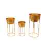 Gold FLower Pot Planter Set of 3