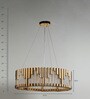 Gold Glass Chandelier