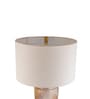 Gold Glass Eclipse Elegance table lamp