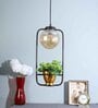 Midway Gold Glass Hanging Light