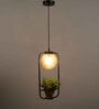 Midway Gold Glass Hanging Light