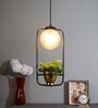 Midway Gold Glass Hanging Light