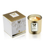 Gold Glass Votive Single Pack