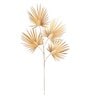Gold & Cream Plastic Artificial Flower