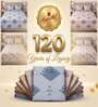Gold Grace Double 186 TC Cotton Bedsheet With 2 Matching Pillow Covers