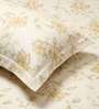 Gold Grace Double 186 TC Cotton Bedsheet With 2 Matching Pillow Covers
