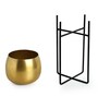 Gold Iron "The Golden Rounds" Planter Pot With Crossed Stand