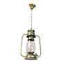 Gold Iron 9 Watt Outdoor Hanging Light