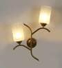 Frappe Metal Novelty Wall Light (Gold)