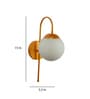 Algae Gold Iron Wall Sconces