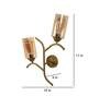 Gold Metal Novelty Wall Light (Gold)