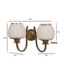 Aphro Gold Iron Wall Sconces