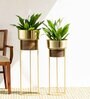 Gold Isabella Planter Set Of 2