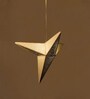 Gold Lokta Fibre Paper Single Hanging Light