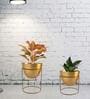 Gold Metal Alle Desk Pot (Set Of 2)