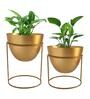 Gold Metal Alle Desk Pot (Set Of 2)