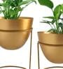 Gold Metal Alle Desk Pot (Set Of 2)