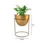 Gold Metal Alle Desk Pot (Set Of 2)