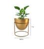 Gold Metal Alle Desk Pot Desk Pot