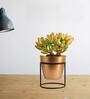 Gold Metal Amy Desk Pot