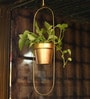Gold Metal Capsule Oval Shaped Hanging Planter