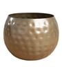 Gold Metal Country Style Belly Bucket Hammers Desk Pots (Set of 4)