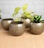Gold Metal Country Style Belly Bucket Hammers Desk Pots (Set of 4)