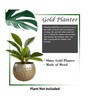 Gold Metal Country Style Belly Bucket Hammers Desk Pots (Set of 4)
