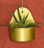 Gold Metal Curved Hanging Planter
