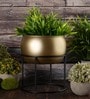 Gold Metal Desk Planter