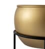 Gold Metal Desk Planter