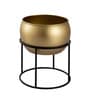 Gold Metal Desk Planter