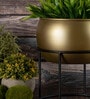 Gold Metal Desk Planter