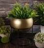Gold Metal Desk Planter
