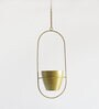 Gold Iron Ellipse Hanging Planter