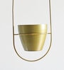 Gold Iron Ellipse Hanging Planter